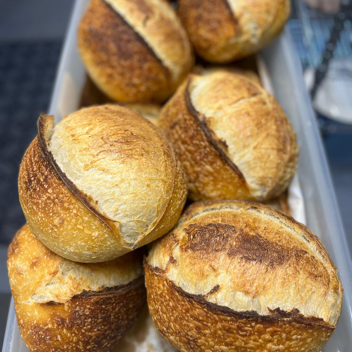 Farmhouse White Sourdough