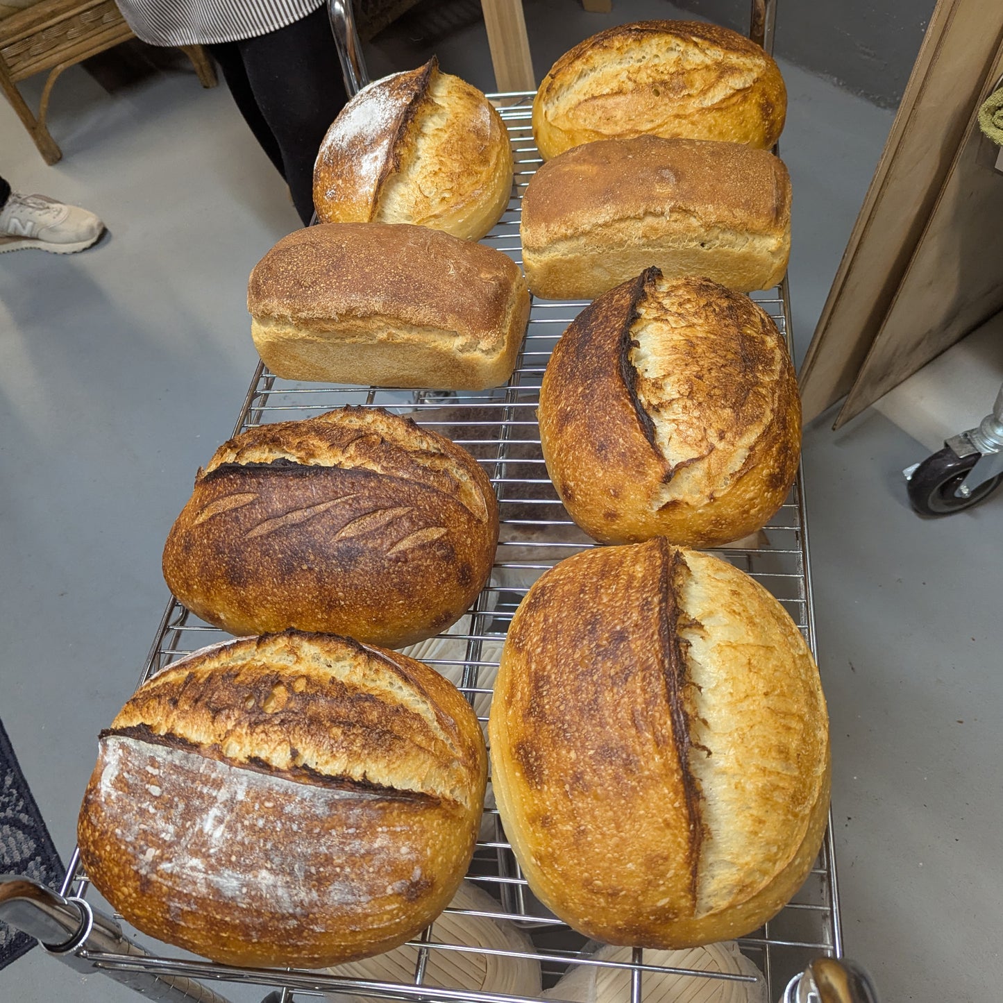 Beginner's Sourdough Workshop by Katya