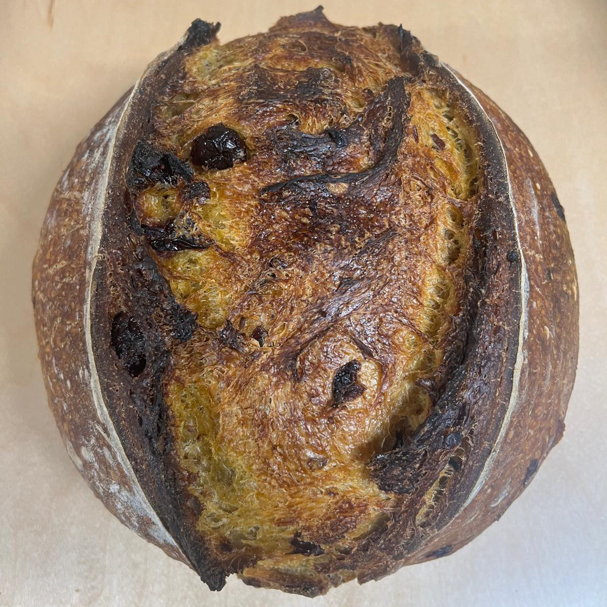 Pumpkin Cranberry Sourdough