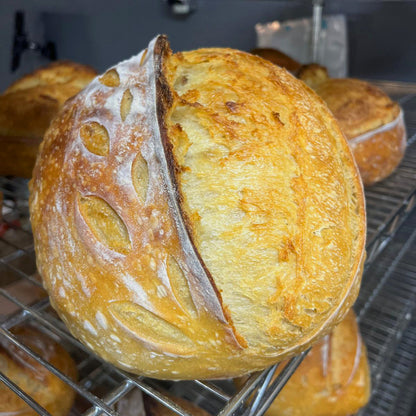 Country Sourdough