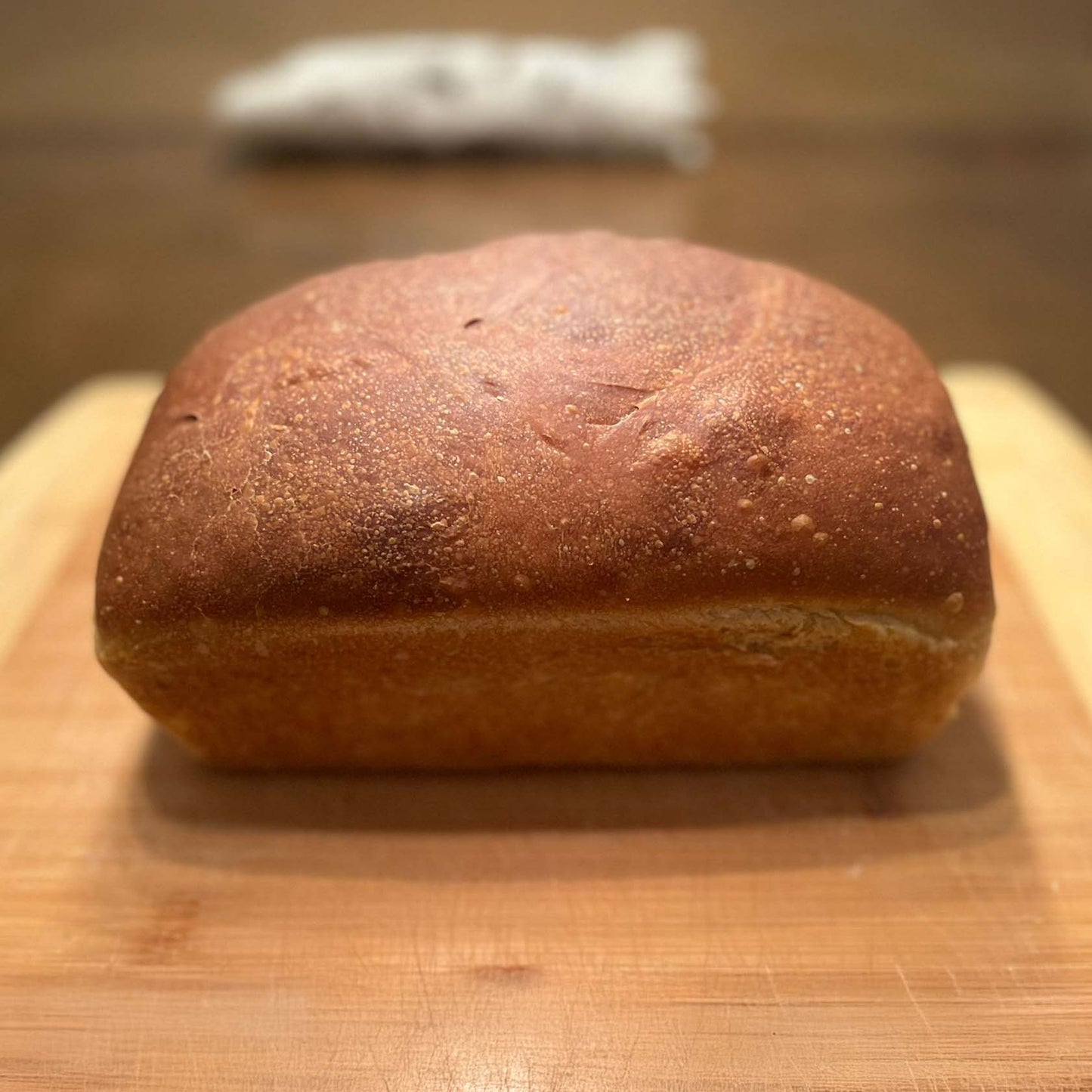 Sandwich Whole Wheat Sourdough