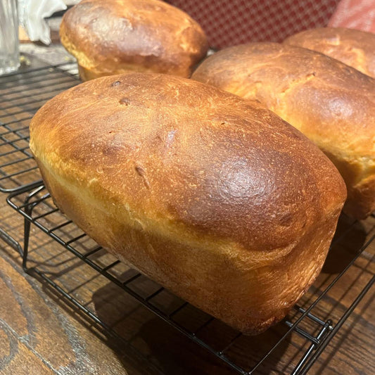 Brioche